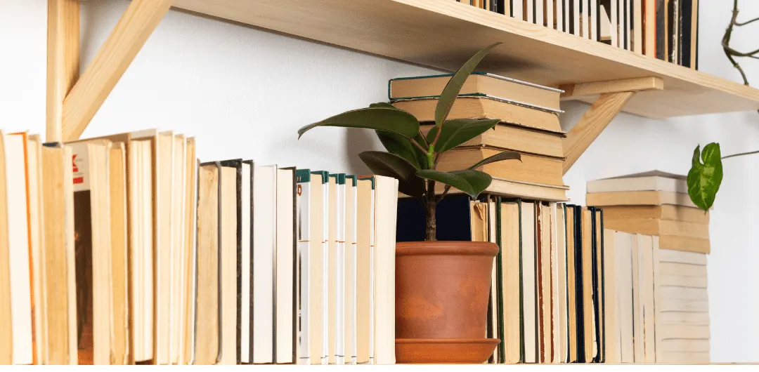 省時省力，學習更有效率：使用Readwise Reader來收集你的數位內容