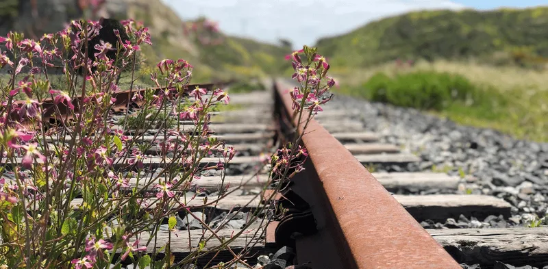 為什麼追求幸福反而讓你不幸福？TED演講的3個啟示